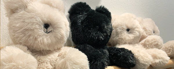 B-earies