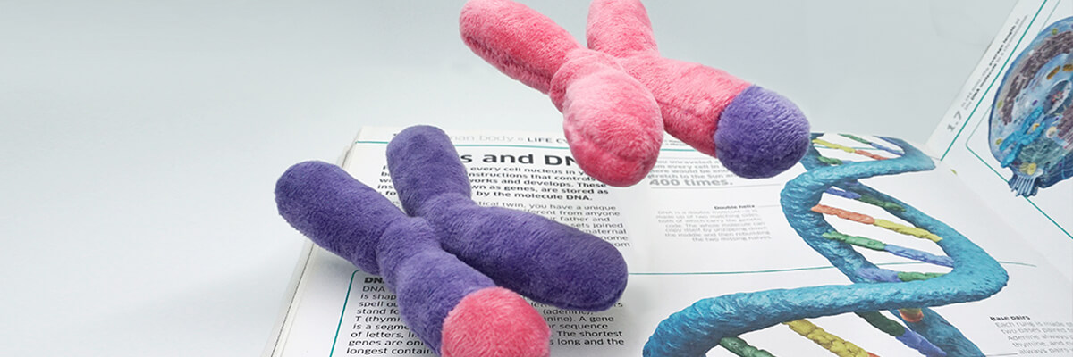 DNA plushies